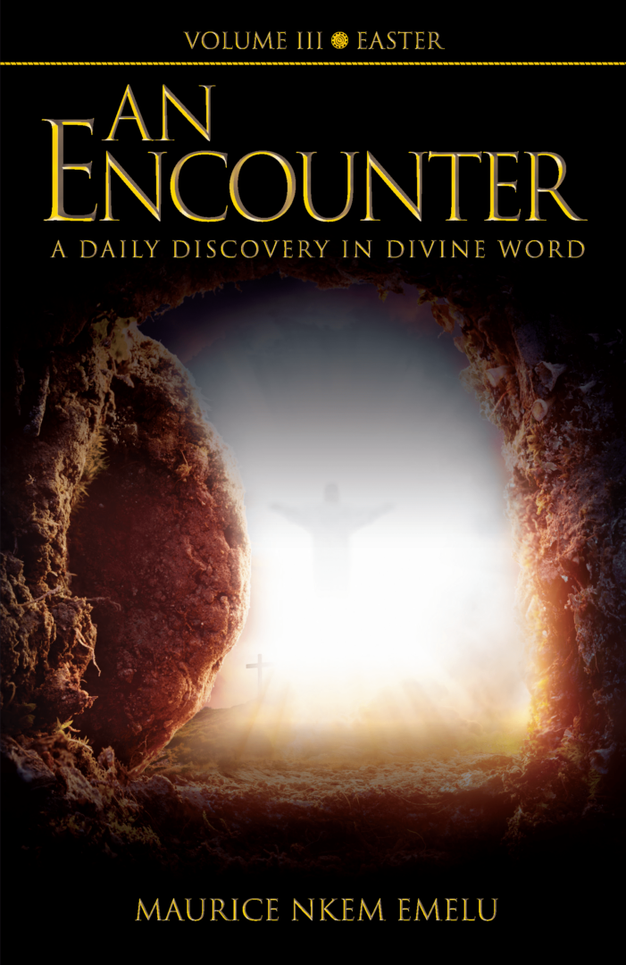 An Encounter by Maurice Emelu Vol. 3 cover